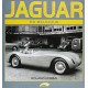 Jaguar en Belgique